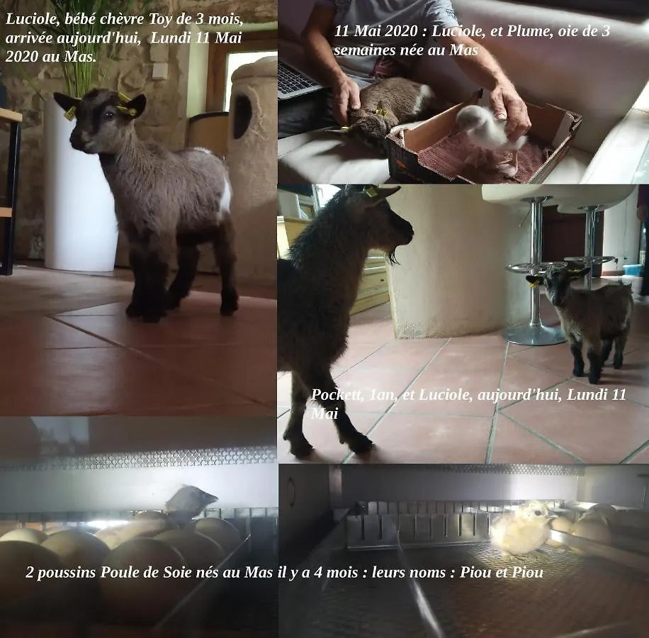 Prázdninový dům Vila Le Mas De La Jardine Velleron